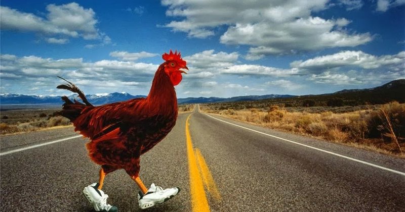Best chicken road in Spain