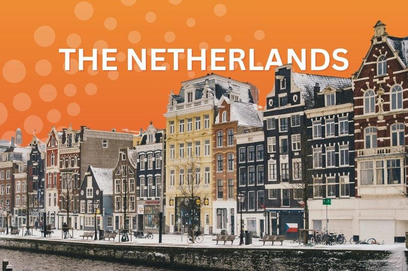 Overview of chicken road game